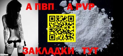 стаф Донской