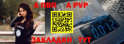 стаф Донской